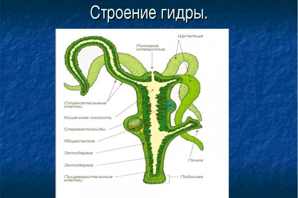 Ссылка на спрут blacksprut click